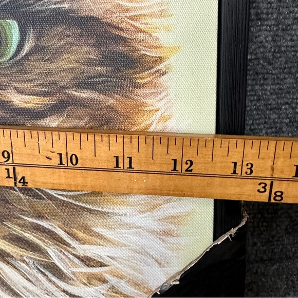 Persian Cat giclee art Carolee Vitaletti NWT 13”x13” wood frame grumpy cat - Picture 8 of 9